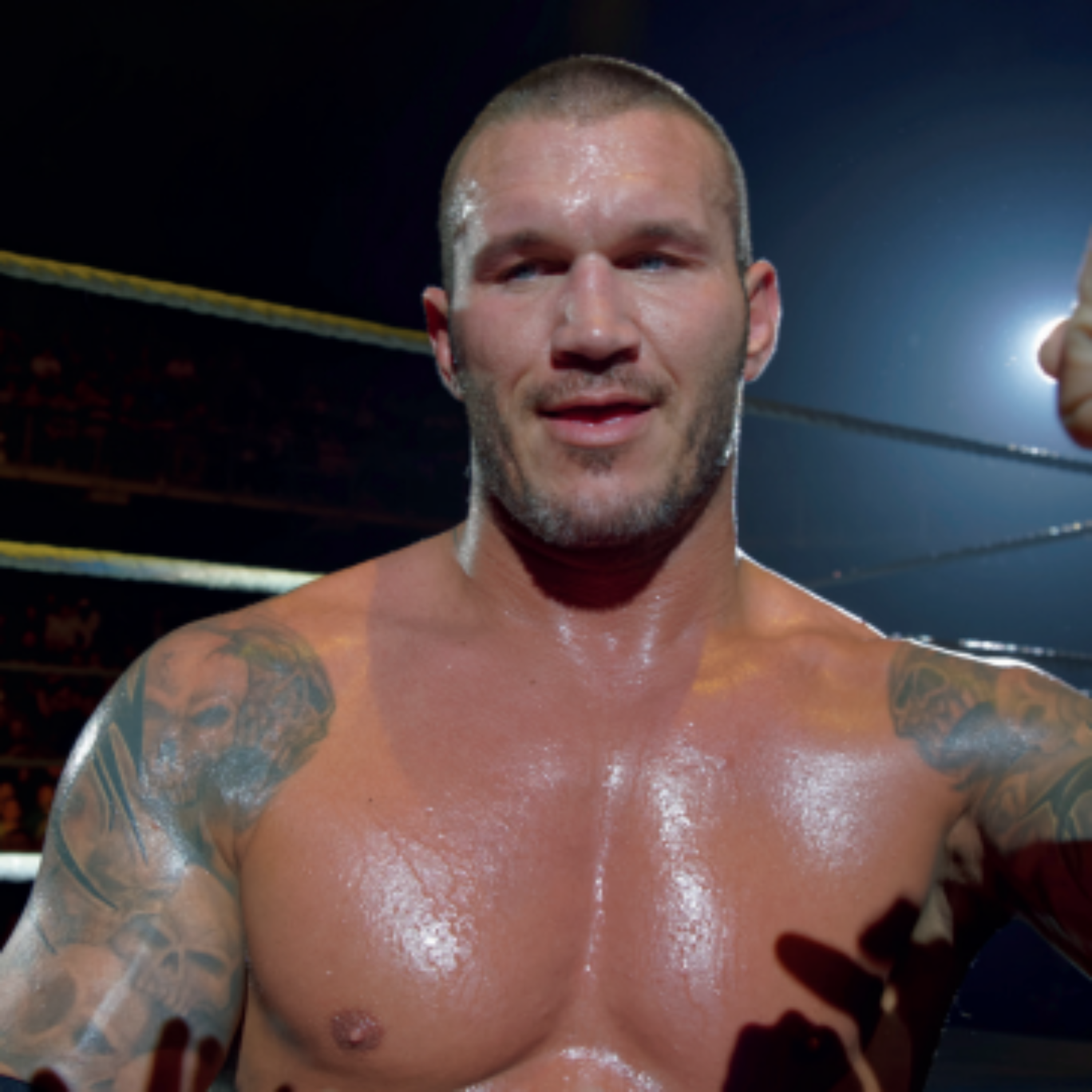 WWE And 2K Games Being Sued Over Randy Ortons Tattoos  GameSpot