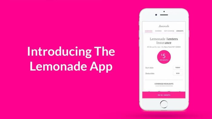 Lemonade app